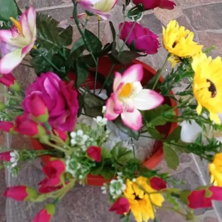 民宿 Casa Cristina Bianca