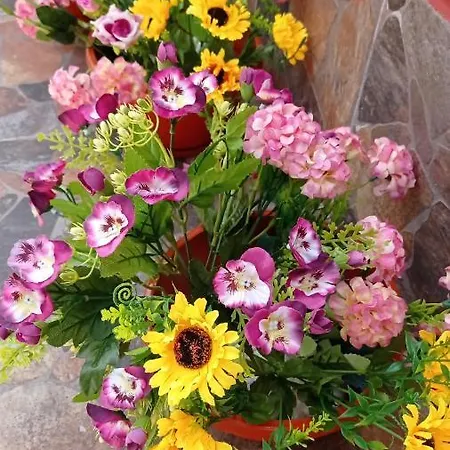 Casa Cristina Bianca * エフォリエ・ノルド